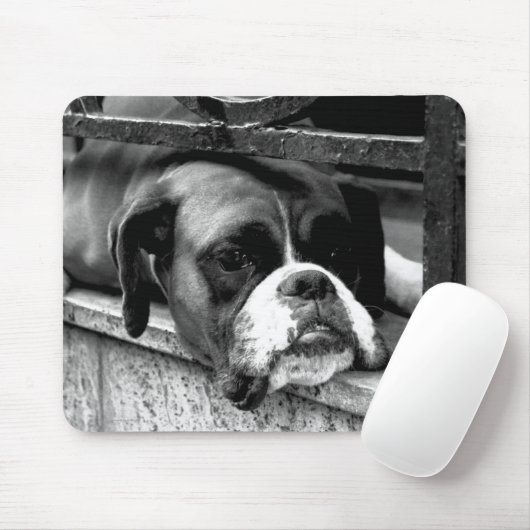 Tapis De Souris Boxer Dog On Windowsill mp arc2 (Avec souris)