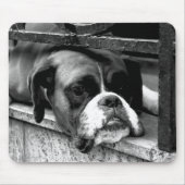 Tapis De Souris Boxer Dog On Windowsill mp arc2 (Devant)
