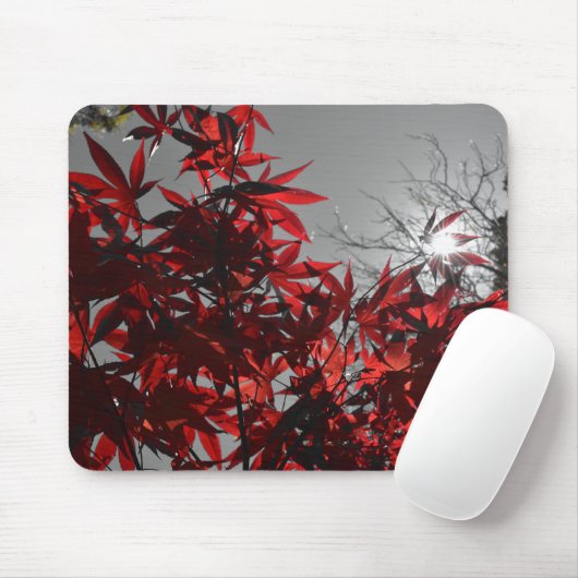 Tapis De Souris Braises d'automne (Avec souris)