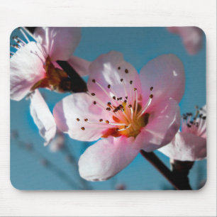 Tapis De Souris Branche de fleurs de pêche et ciel bleu