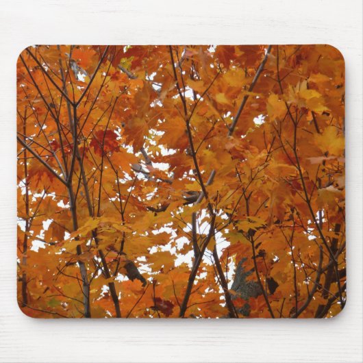 Tapis De Souris Branches de Feuilles d'érable I Orange Automne (Devant)