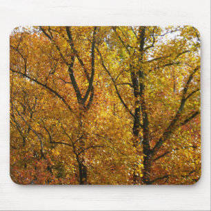Tapis De Souris Branches de feuilles jaunes couleur automne lumine