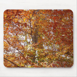 Tapis De Souris Branches de feuilles orange Nature automnale