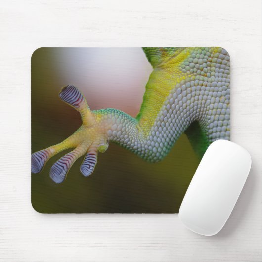 Tapis De Souris Bras Lizard (Avec souris)