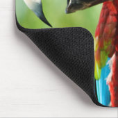 Tapis De Souris Brilliant Red (Coin)