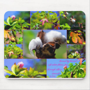 Tapis De Souris Brins de soie