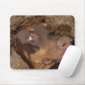 Tapis De Souris Brisbee Lee (Avec souris)