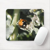 Tapis De Souris British 7 Spot Ladybug Mousepad (Avec souris)