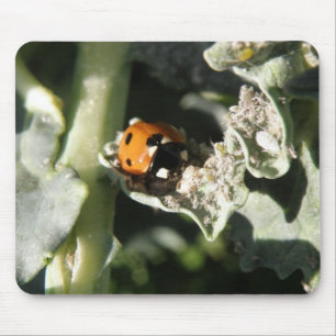 Tapis De Souris British 7 Spot Ladybug Mousepad