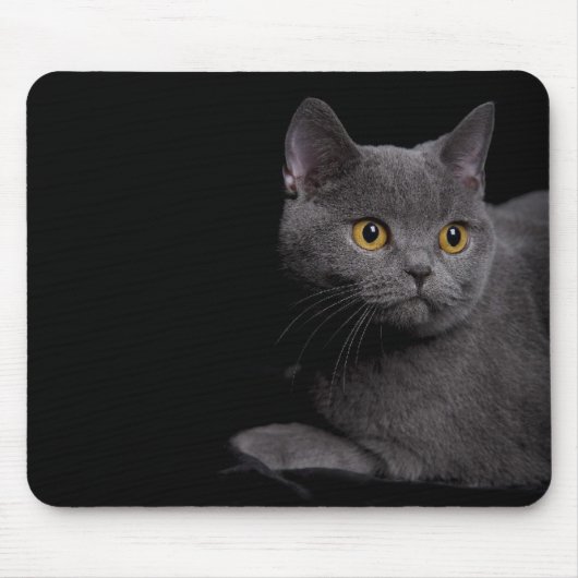 Tapis De Souris British Shorthair Mousepad (Devant)