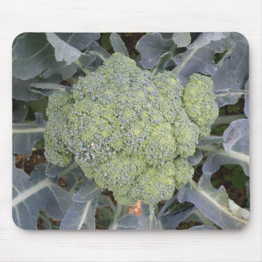 Tapis De Souris Broccoli Mousepad (Devant)
