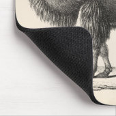 Tapis De Souris Brodtmann Camel Sketch (Coin)