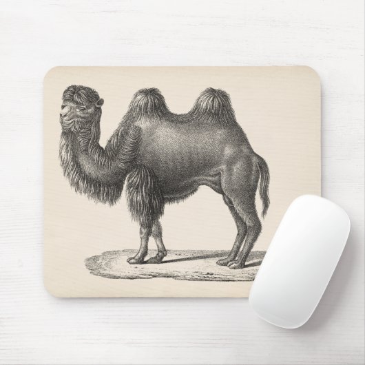 Tapis De Souris Brodtmann Camel Sketch (Avec souris)