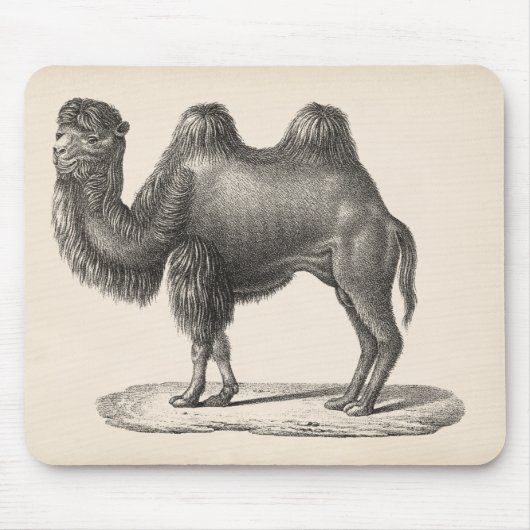 Tapis De Souris Brodtmann Camel Sketch (Devant)