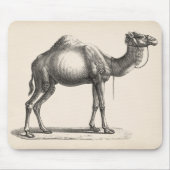 Tapis De Souris Brodtmann Dromedary Camel croquis (Devant)