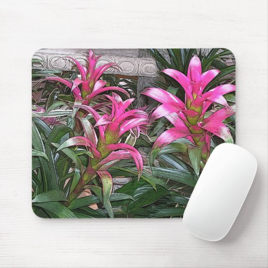 Tapis De Souris Bromeliad Mouspad (Avec souris)