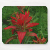 Tapis De Souris Brosse à peinture indienne (Devant)