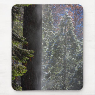 Tapis De Souris Brouillard neigeux dans la forêt
