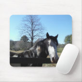 Tapis De Souris Brown &blanc, Cheval Peint, ciel bleu vif (Avec souris)