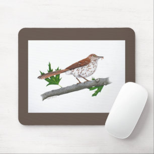 Tapis De Souris Brown Thrasher Mousepad