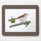 Tapis De Souris Brown Thrasher Mousepad (Devant)