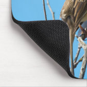 Tapis De Souris Bruant à couronne blanche (Coin)