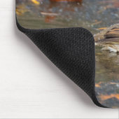 Tapis De Souris Bruant à couronne dorée (Coin)