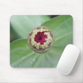 Tapis De Souris Budding Zinnia (Avec souris)
