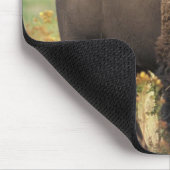 Tapis De Souris Buffalo (Coin)