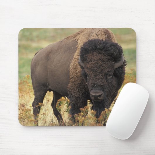 Tapis De Souris Buffalo (Avec souris)