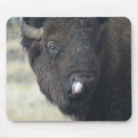 Tapis De Souris Buffalo drôle (Devant)
