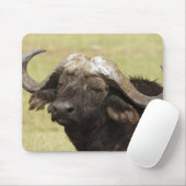 Tapis De Souris Buffle d'Afrique, Syncerus caffer (Avec souris)
