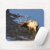 Tapis De Souris Bull Elk (Avec souris)
