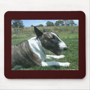 Tapis De Souris Bull-terrier anglais