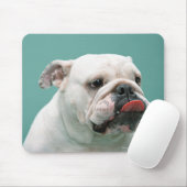Tapis De Souris Bulldog (Avec souris)