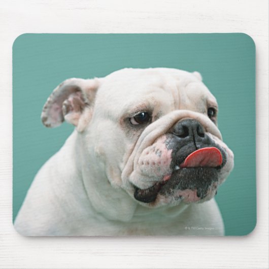 Tapis De Souris Bulldog (Devant)