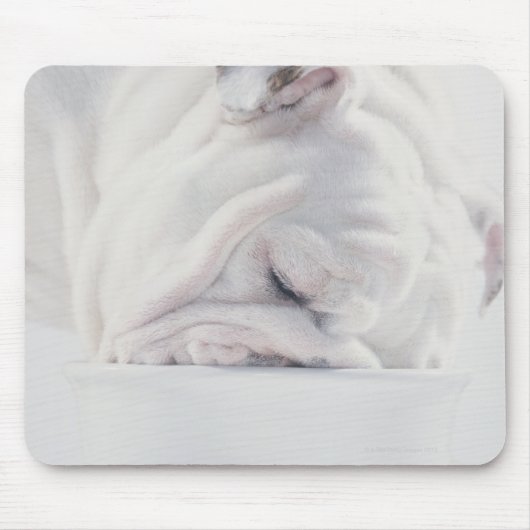 Tapis De Souris Bulldog Manger (Devant)