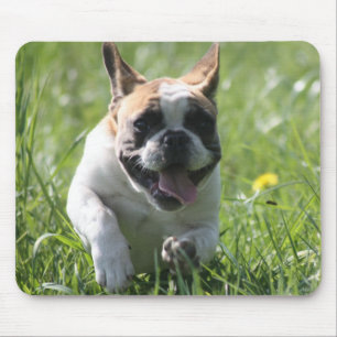 Tapis De Souris Bulldogen Mousepad
