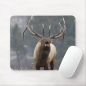 Tapis De Souris Bulle de l'Elk, Yellowstone NP, Wyoming 2 (Avec souris)