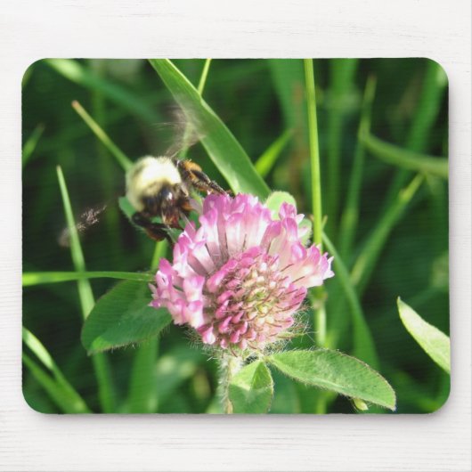 Tapis De Souris Bumble Bee sur le trèfle rouge (Devant)
