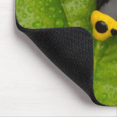 Tapis De Souris Bumblebee Poison Dart Frog (Coin)