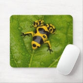 Tapis De Souris Bumblebee Poison Dart Frog (Avec souris)
