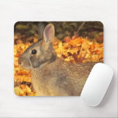 Tapis De Souris Bunny d'automne (Avec souris)
