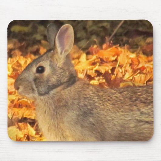 Tapis De Souris Bunny d'automne (Devant)