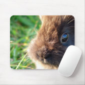 Tapis De Souris Bunny Lionhead (Avec souris)