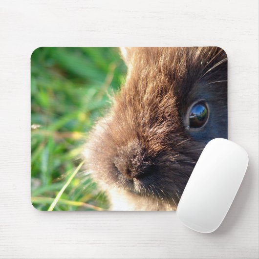 Tapis De Souris Bunny Lionhead (Avec souris)