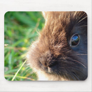 Tapis De Souris Bunny Lionhead
