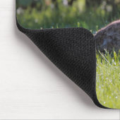 Tapis De Souris Bunny Sunny (Coin)