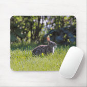 Tapis De Souris Bunny Sunny (Avec souris)