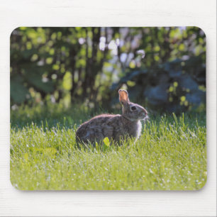 Tapis De Souris Bunny Sunny